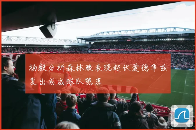 杨毅分析森林狼表现起伏爱德华兹复出或成球队隐患